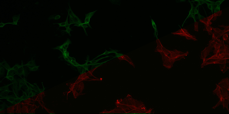 Project screenshot
