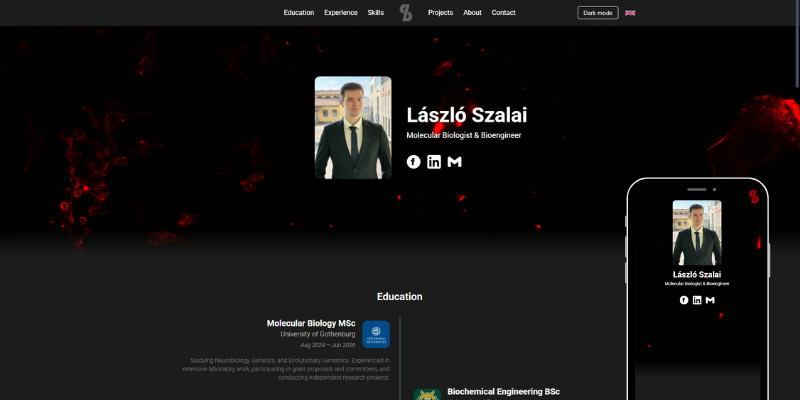 Project screenshot